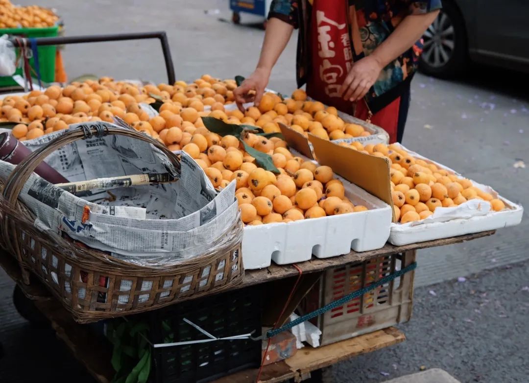 少陵路属于什么街道,没有任何历史的城市