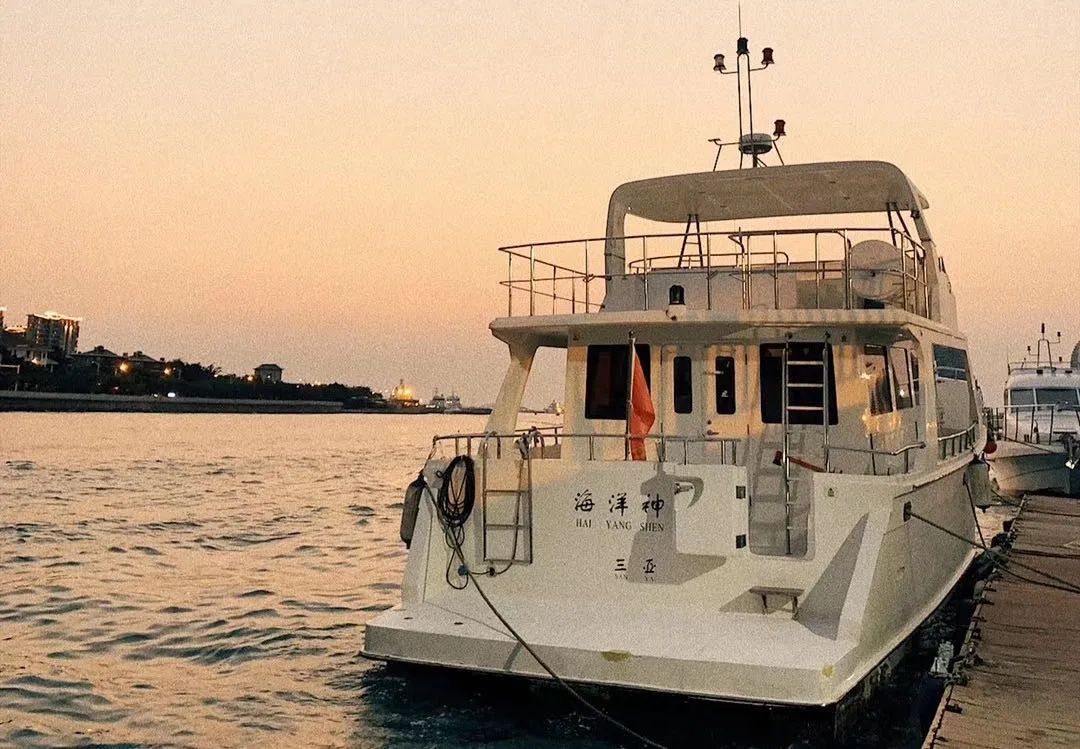 实力宠粉让你受宠若惊,实力宠粉交出亮眼答卷