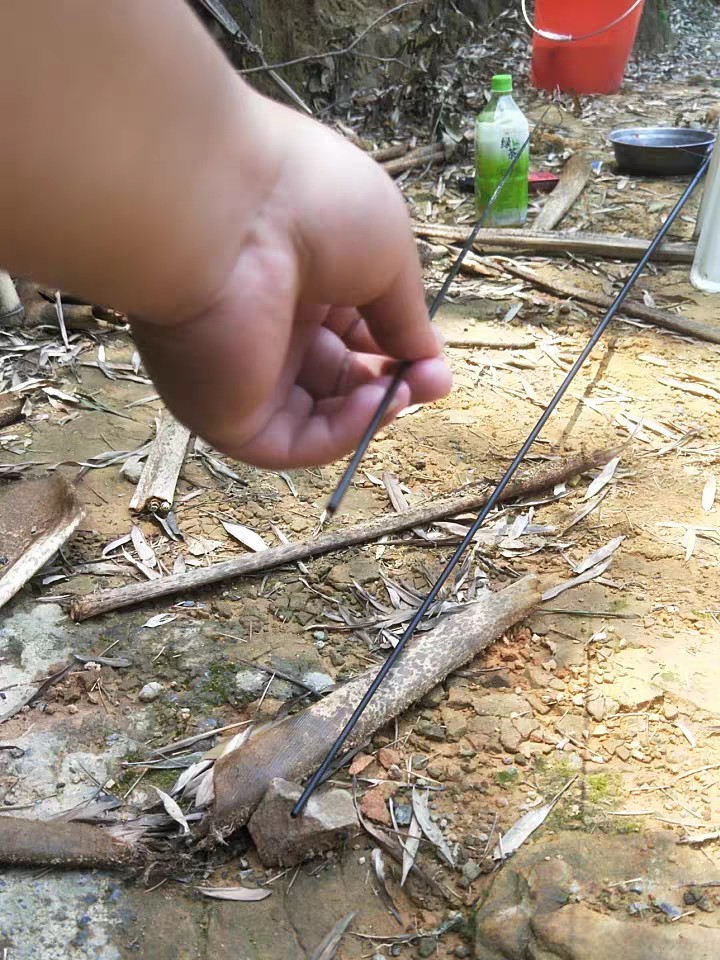 上鱼是什么体验,上鱼必备品榜单是什么意思