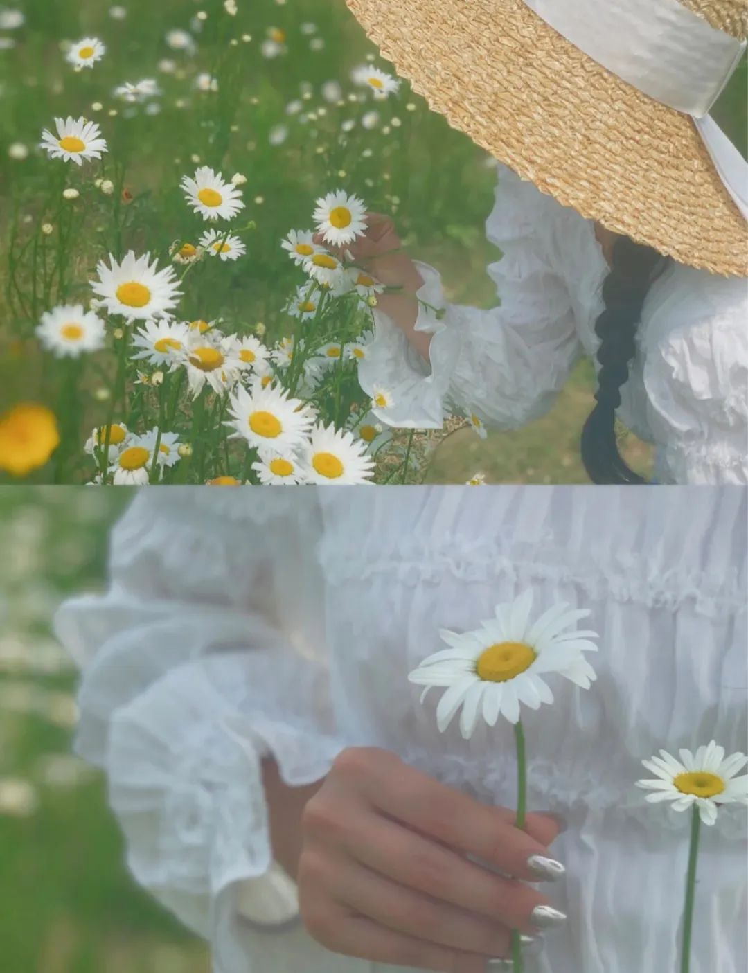 五月成都周边网红打卡地一日游,成都五月周末打卡推荐