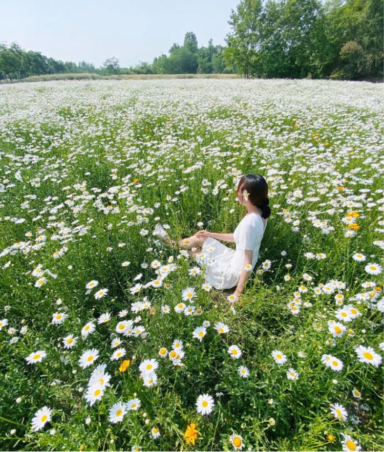 五月成都周边网红打卡地一日游,成都五月周末打卡推荐
