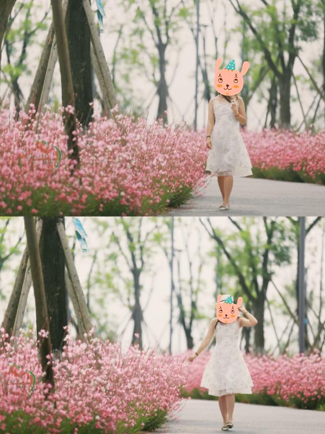 五月成都周边网红打卡地一日游,成都五月周末打卡推荐