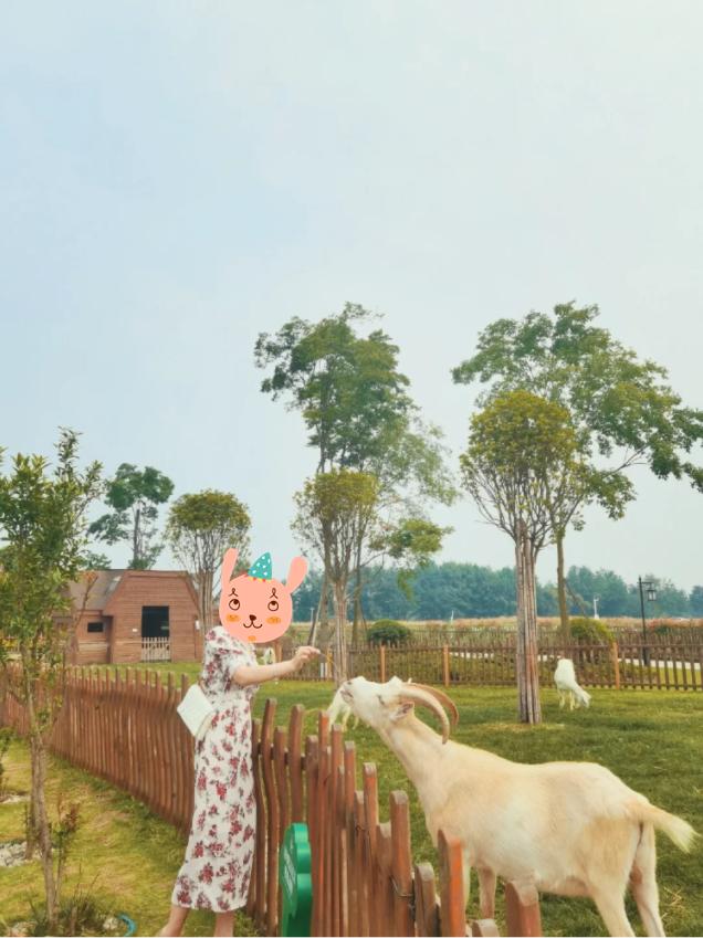 五月成都周边网红打卡地一日游,成都五月周末打卡推荐