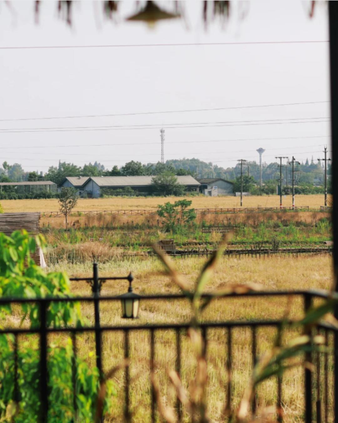 五月成都周边网红打卡地一日游,成都五月周末打卡推荐