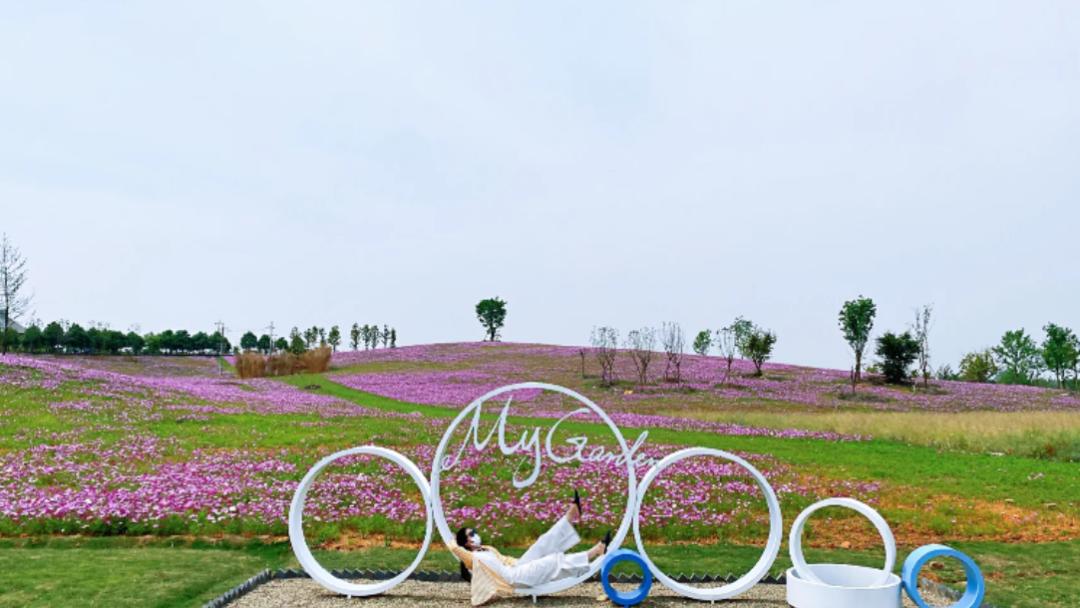 五月成都周边网红打卡地一日游,成都五月周末打卡推荐