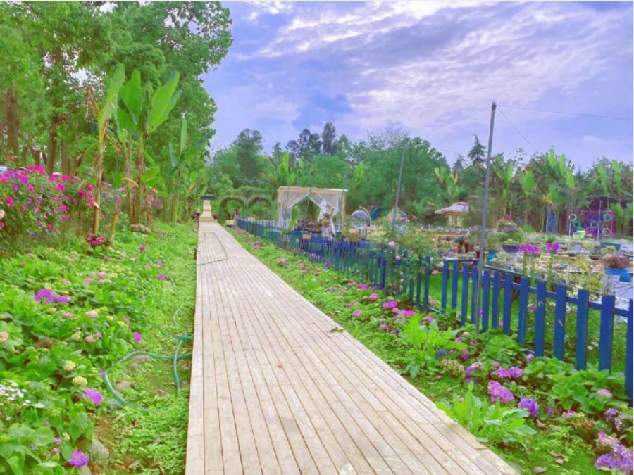 五月成都周边网红打卡地一日游,成都五月周末打卡推荐