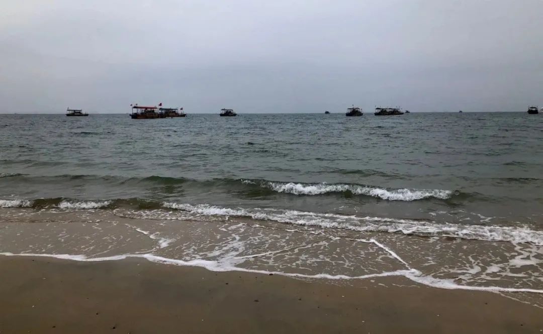 听说工资很高，我应聘到柬埔寨“种菠菜”，结果很意外......