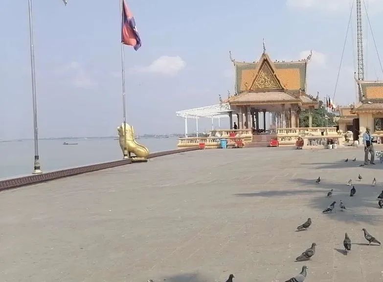 听说工资很高，我应聘到柬埔寨“种菠菜”，结果很意外......