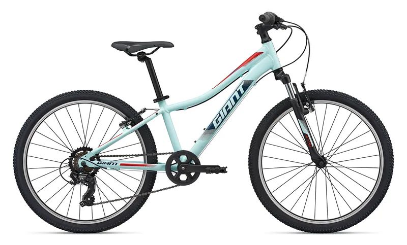 青少年自行车推荐性价比高的品牌,青少年自行车什么品牌好