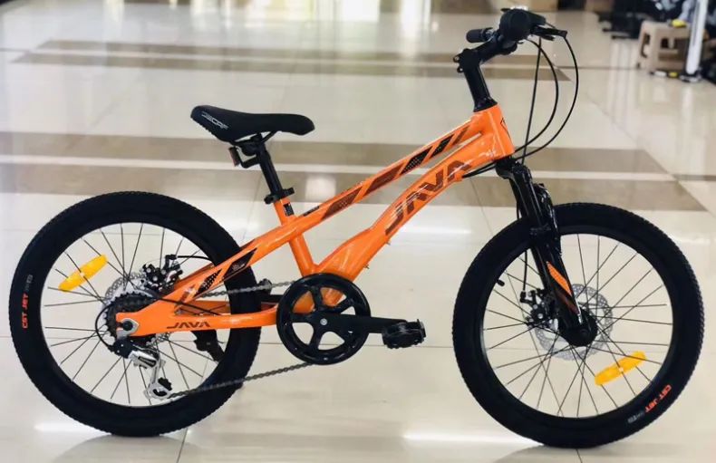 青少年自行车推荐性价比高的品牌,青少年自行车什么品牌好