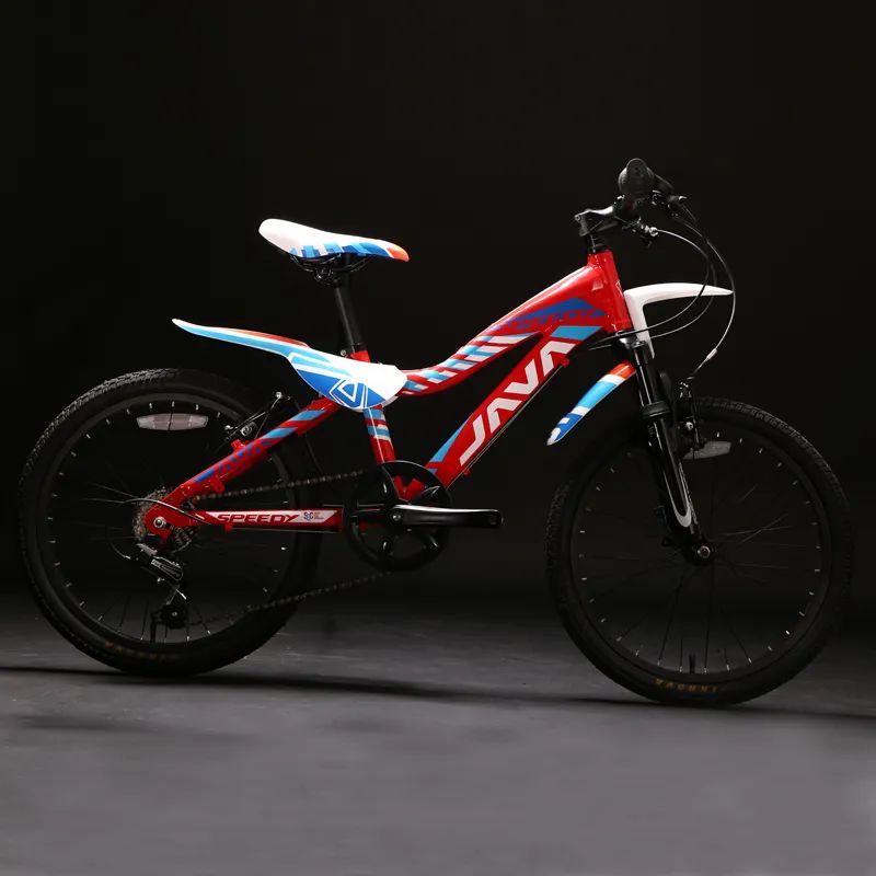 青少年自行车推荐性价比高的品牌,青少年自行车什么品牌好