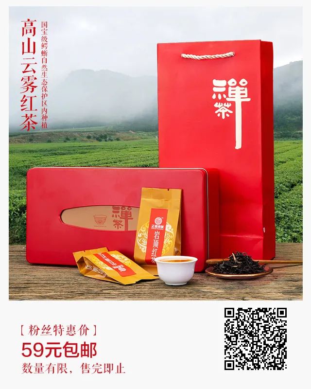 靠小小酸奶机起家，如今市值突破百亿，小熊电器做对了什么？