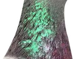 榄斿コ涔嬫．濠曟媺,姘告亽涔嬫．濠曟媺鐨偆