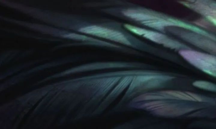 榄斿コ涔嬫．濠曟媺,姘告亽涔嬫．濠曟媺鐨偆