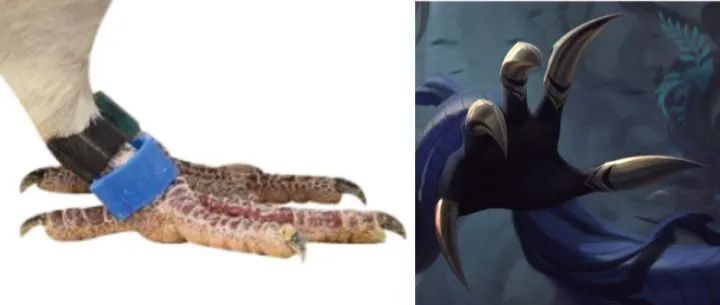 榄斿コ涔嬫．濠曟媺,姘告亽涔嬫．濠曟媺鐨偆