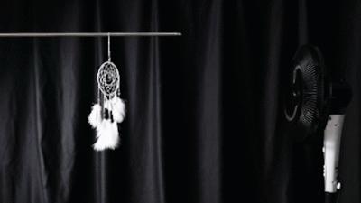 德国荣芝和戴森的无叶风扇哪个好,戴森无叶风扇为什么贵那么多