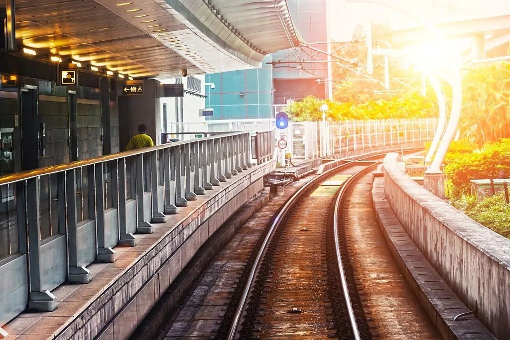 王安忆讲名著,王安忆救人