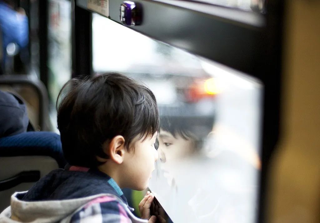 王安忆讲名著,王安忆救人