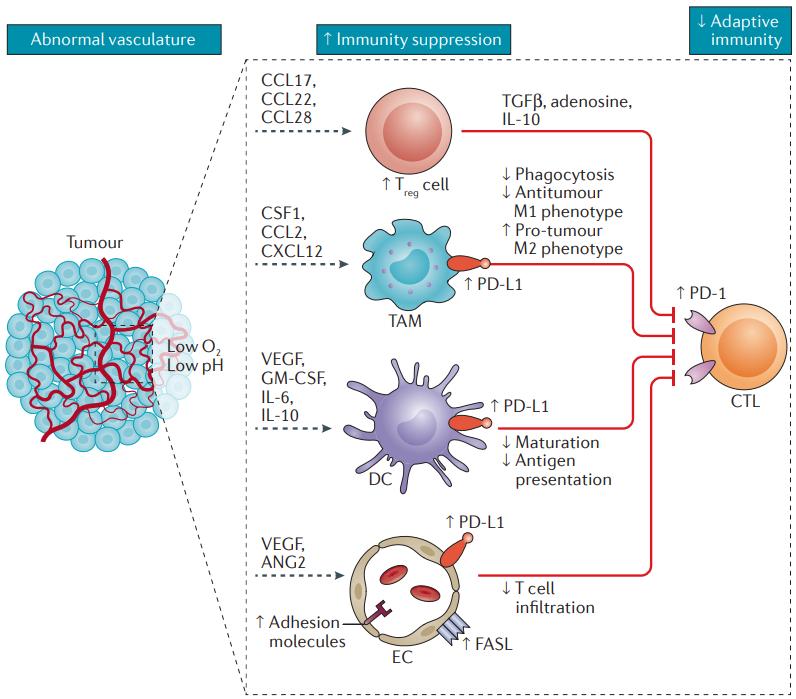 nejm新进展,nejm新药临床治疗