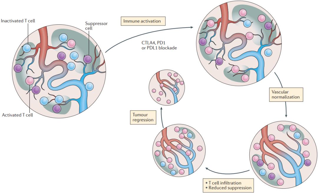 nejm新进展,nejm新药临床治疗