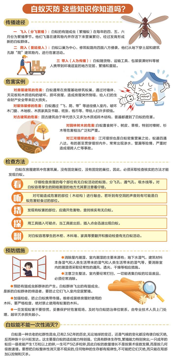 最新新建房屋白蚁预防技术规程,全屋白蚁防治