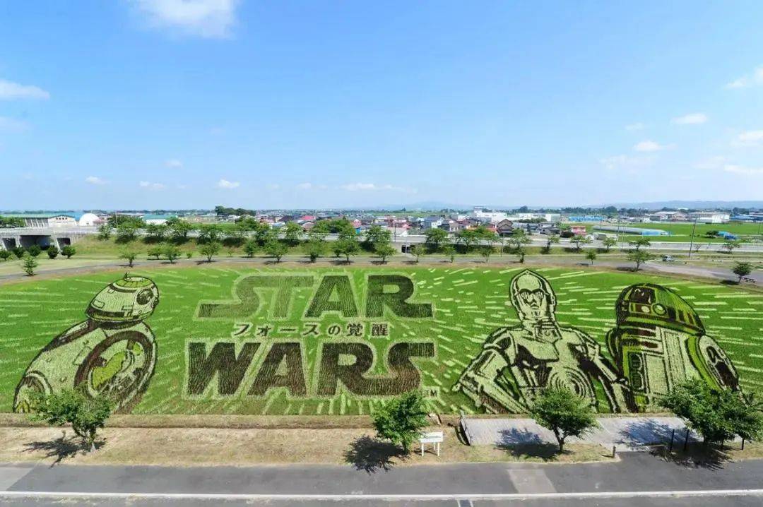 向往的生活带你体验乡间的路,向往的生活田园生活