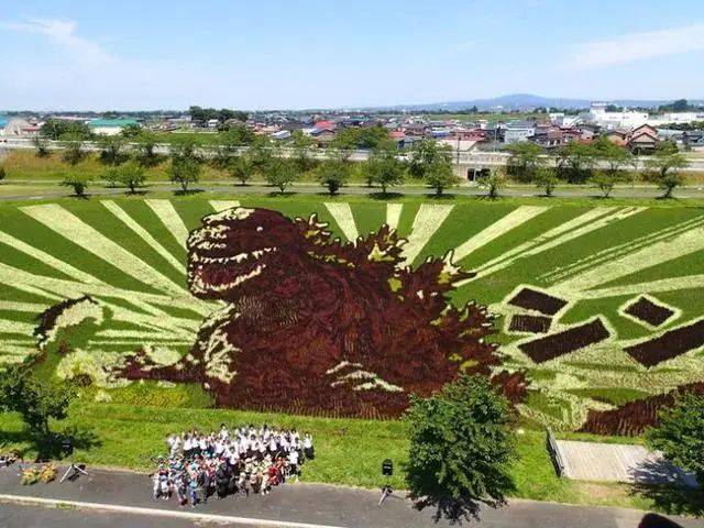 向往的生活带你体验乡间的路,向往的生活田园生活