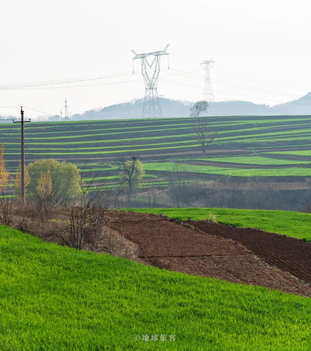 难啊我太难了图片,太难了太难了