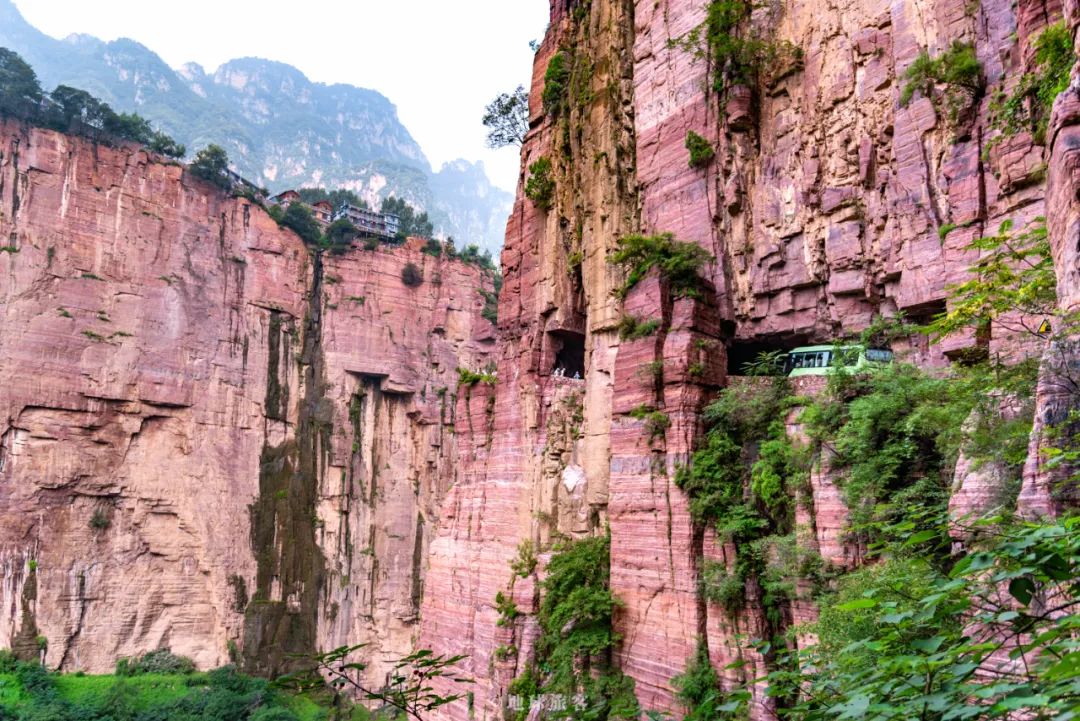 难啊我太难了图片,太难了太难了