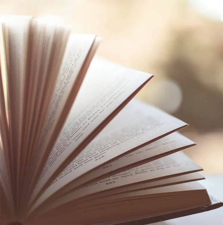 南码头路街道生活日记——跟小南一起阅读本书，在漫画中学习中国史