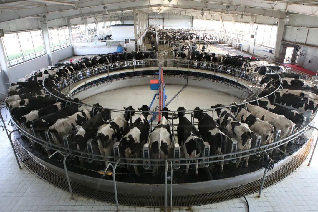 伊利北冰洋工厂体验,伊利总部工业旅游