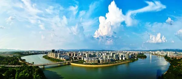 神兽出笼开始吞金,神兽出笼走出不一样的步伐