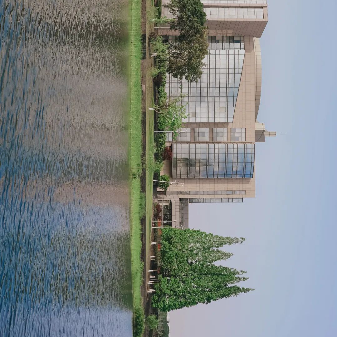 川大江安全景,川大江安校区地图高清