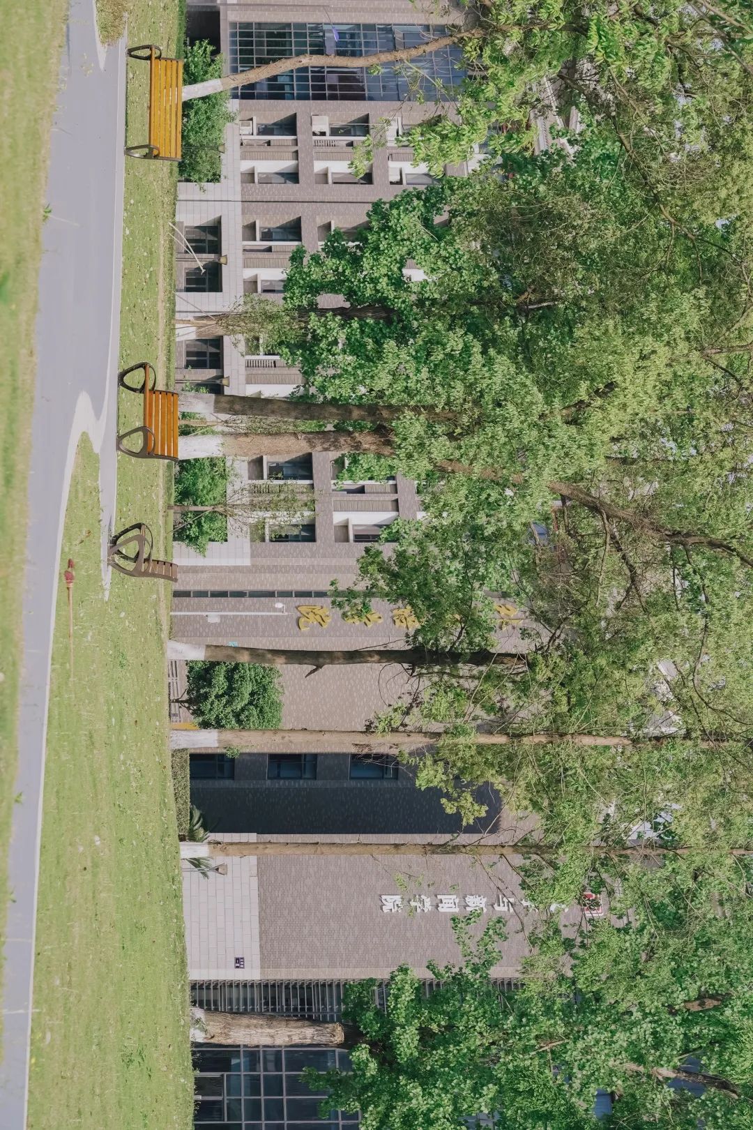 川大江安全景,川大江安校区地图高清