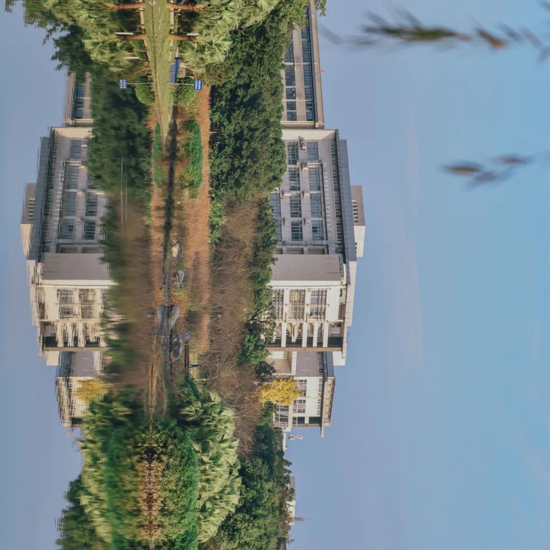 川大江安全景,川大江安校区地图高清