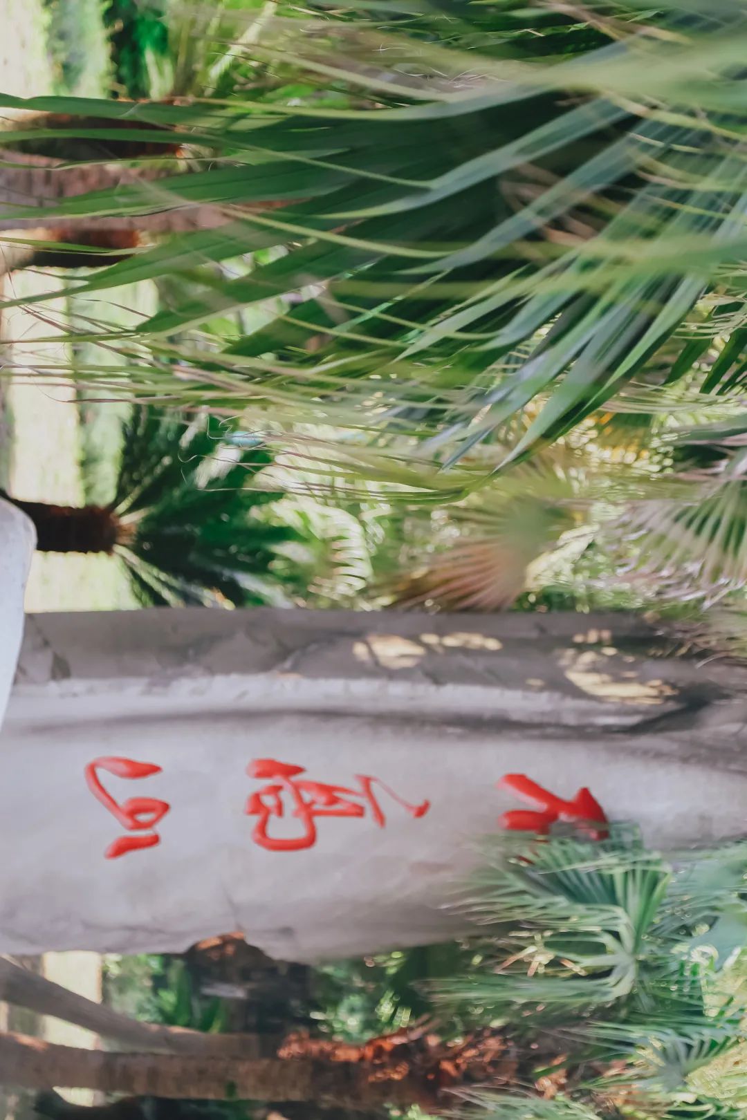 川大江安全景,川大江安校区地图高清