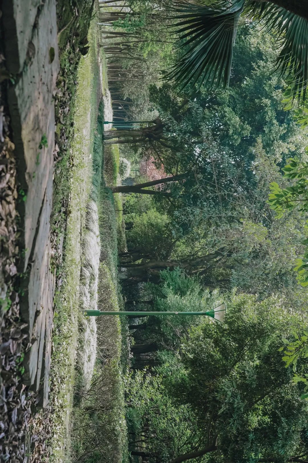 川大江安全景,川大江安校区地图高清