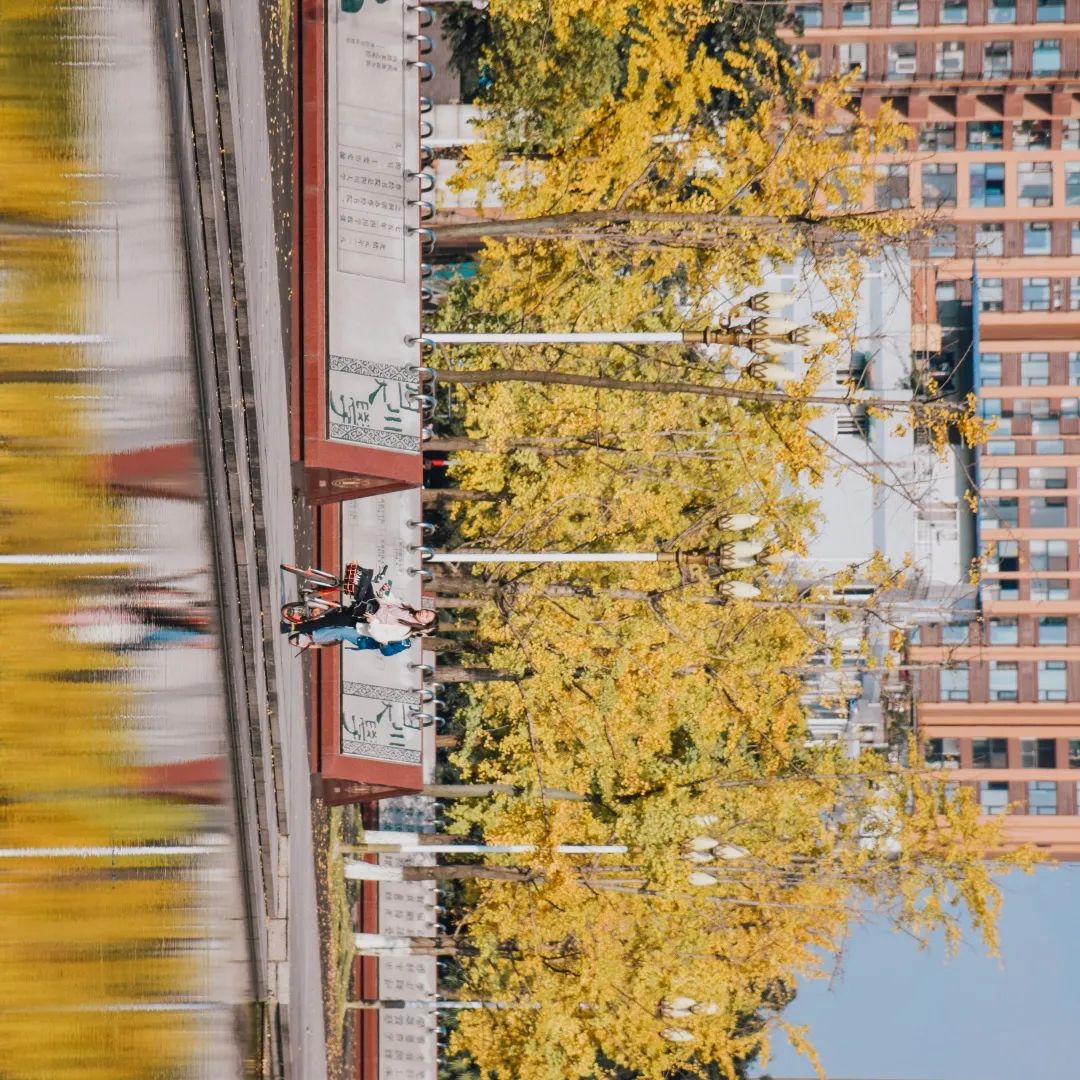川大江安全景,川大江安校区地图高清