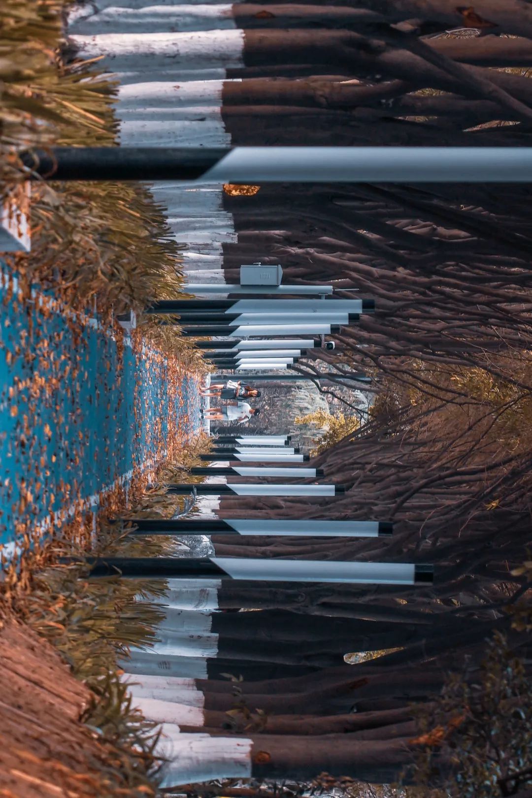 川大江安全景,川大江安校区地图高清