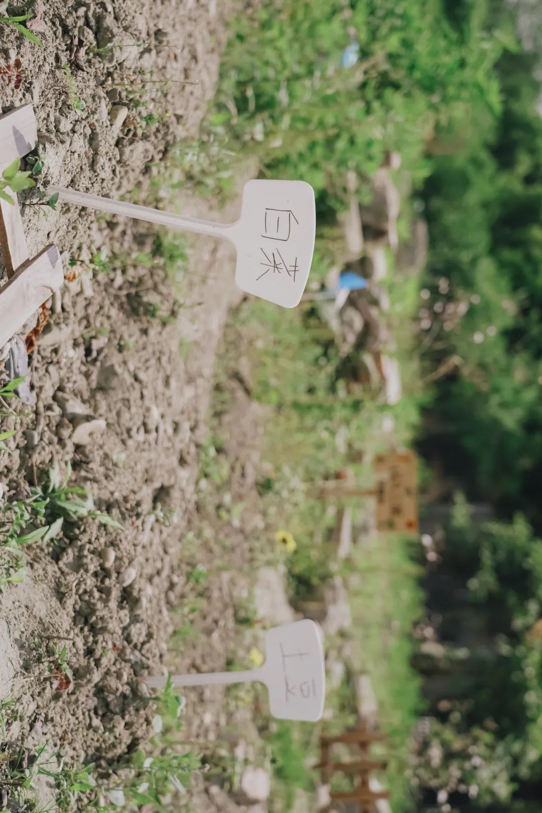 川大江安全景,川大江安校区地图高清