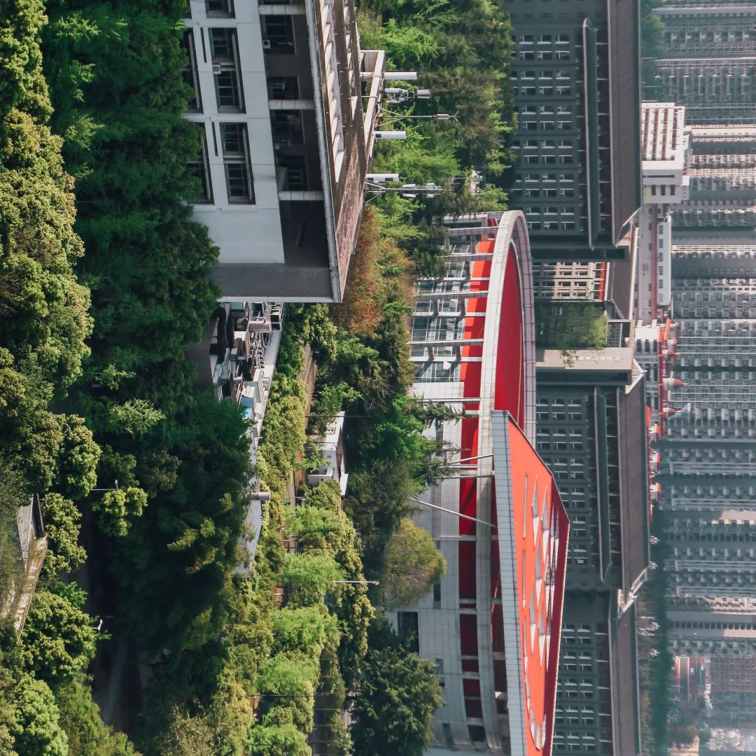 川大江安全景,川大江安校区地图高清