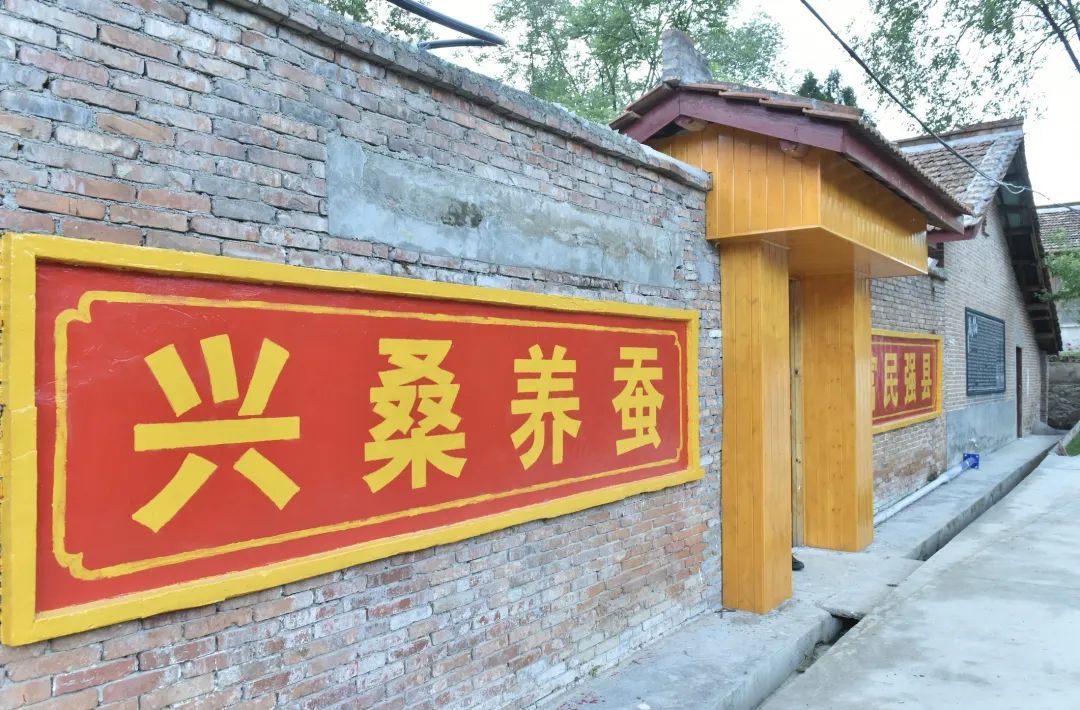 蚕宝宝怎么才能吐出金丝,蚕宝宝吐出透明色液体