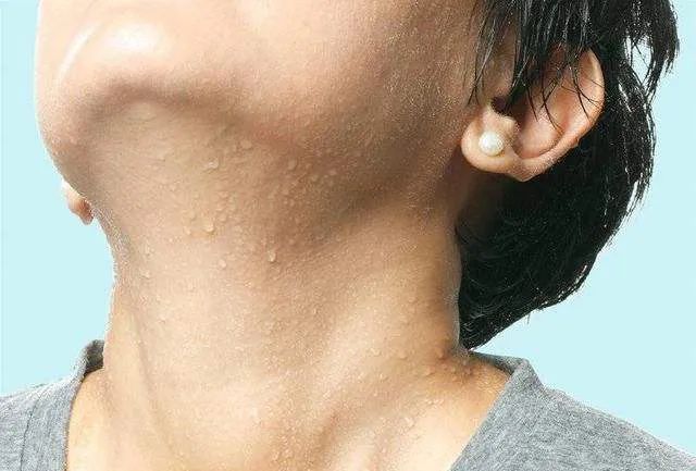 日本人太疯狂!羊奶做成了T恤,比冈本001薄,穿上3秒凉爽5°