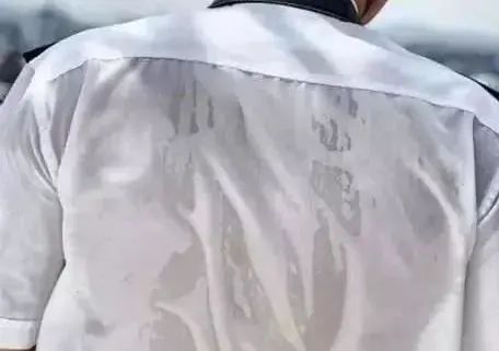 日本人太疯狂!羊奶做成了T恤,比冈本001薄,穿上3秒凉爽5°