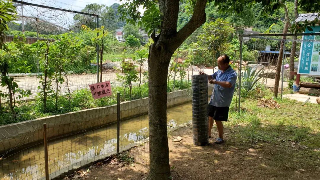 桂林7岁男孩游泳池溺亡,南宁12岁男孩溺水身亡事件