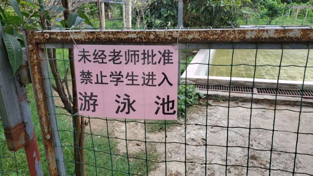 桂林7岁男孩游泳池溺亡,南宁12岁男孩溺水身亡事件