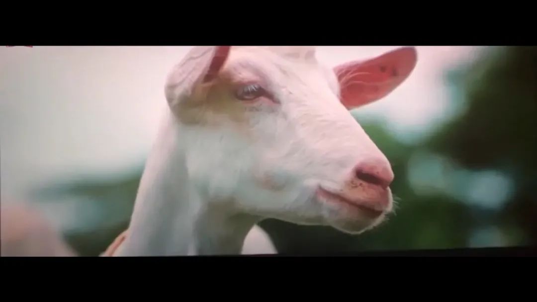 干货丨盘点《误杀》中的蒙太奇,这次你该学明白了