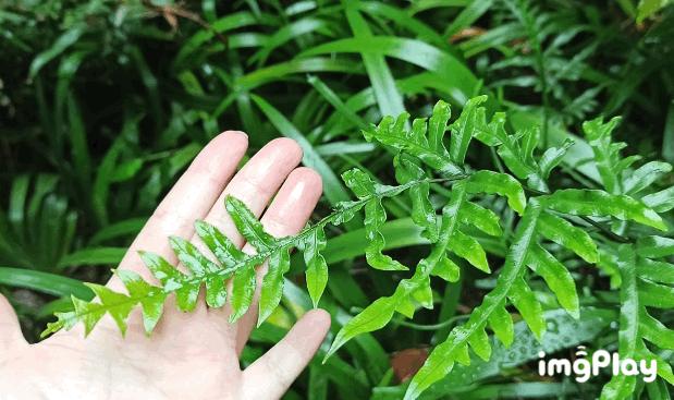 星空下帐篷度假酒店,旅游免费帐篷露营住宿