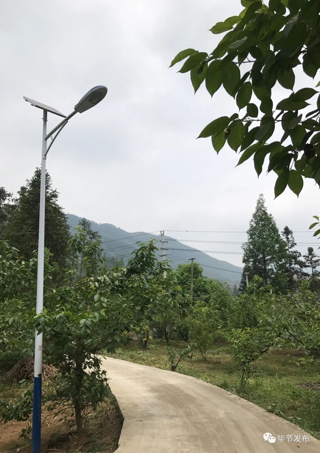 脱贫路上继续前行,脱贫攻坚乡村行