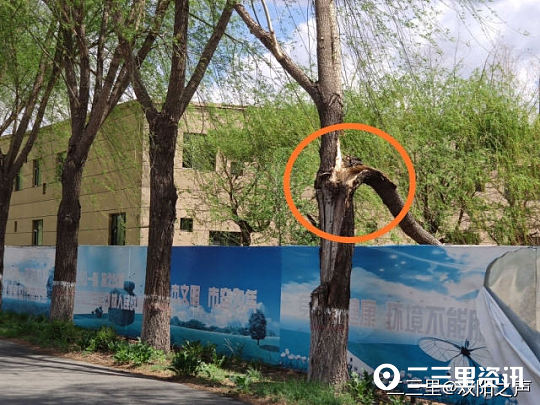 「二三里早八点」吉林市小区为居家隔离人员设专用垃圾桶；家长给孩子买蓝魔虾消解寂寞